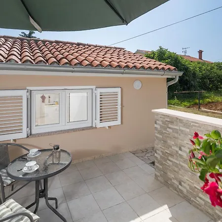 Guest house Ravnic 3*